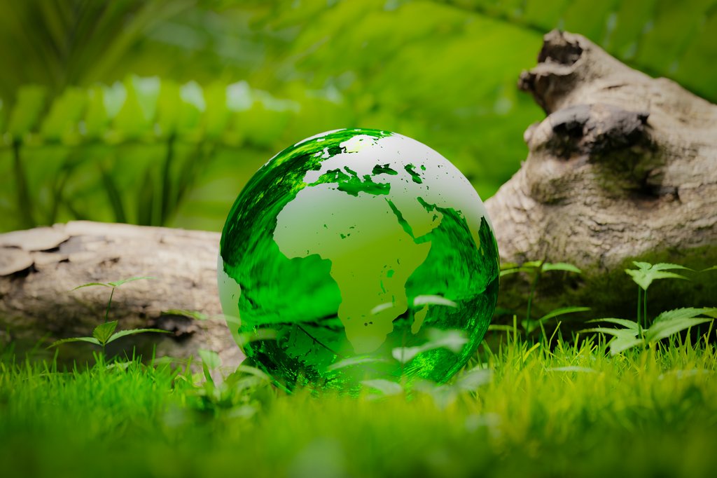 a transparent glass earth in the forest, 3d rendering